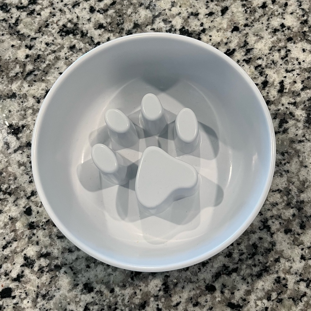 Slow Feeder Dog Bowl